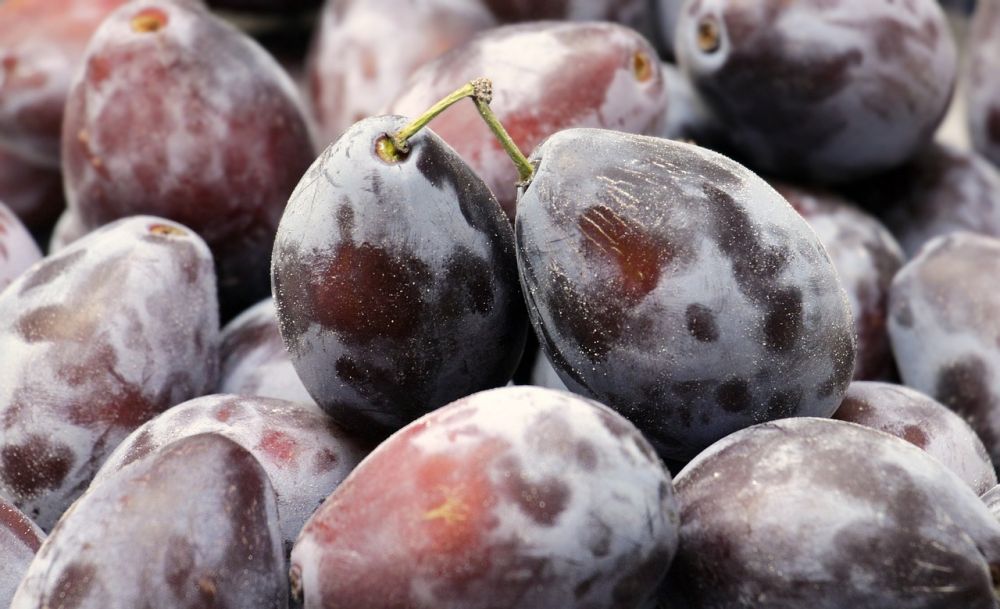 Bedste Jerntilskud En Dybdegående Guide til Hesteentusiaster og Ryttere