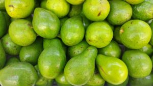 beregn kalorier i mad